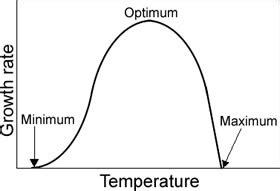 OPTIMUM RESULTS definition and meaning .